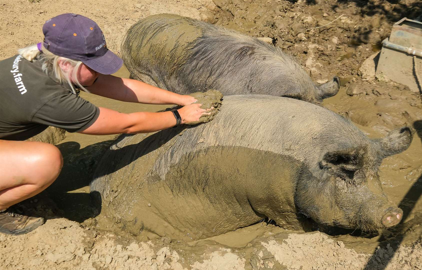 Mud, mud glorious mud