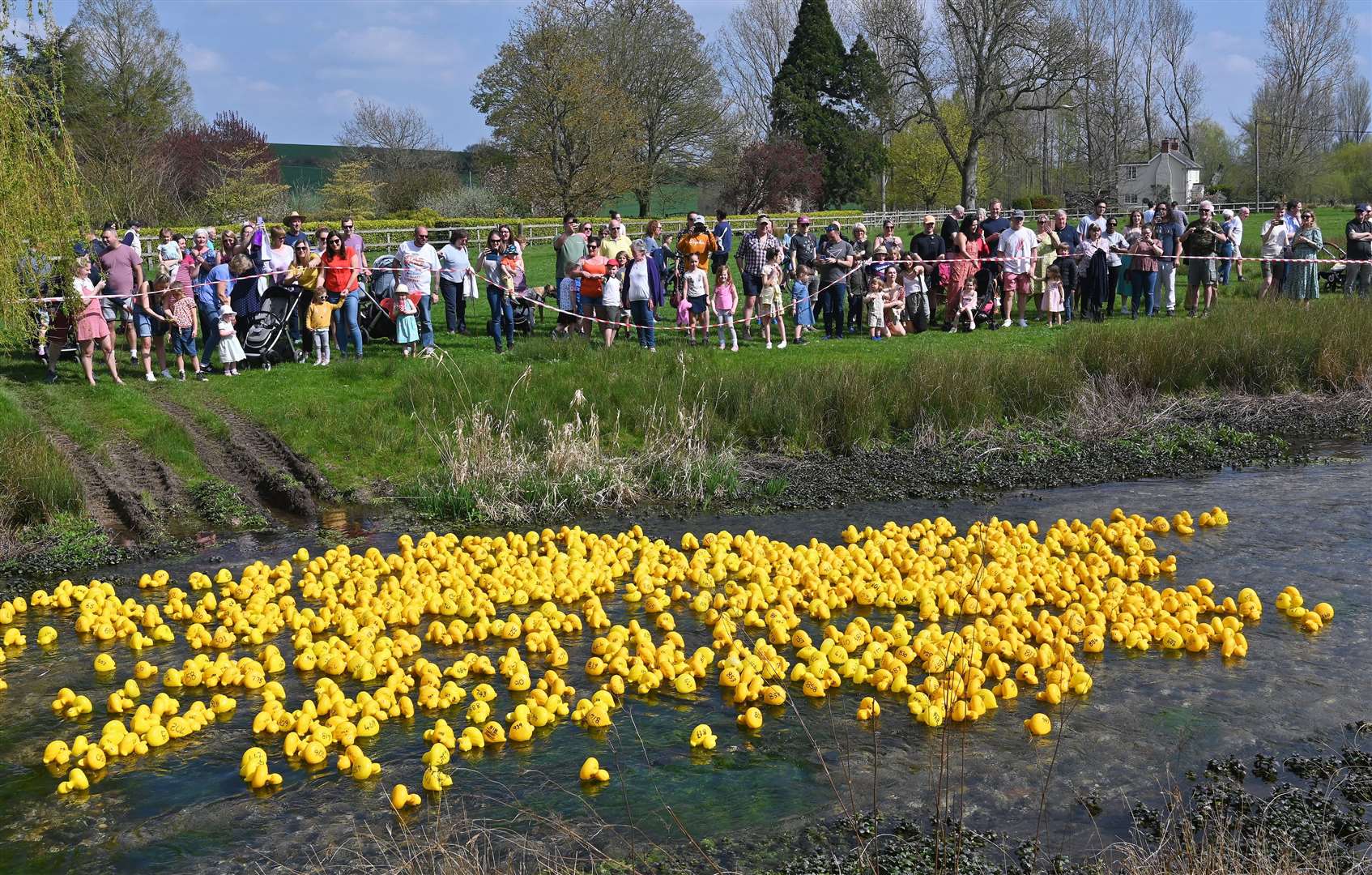 East Shefford duck derby. (56131392)