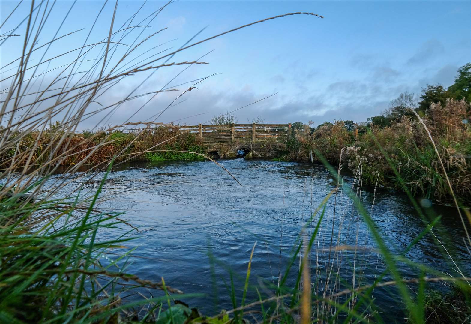 River Kennet at Barton Court