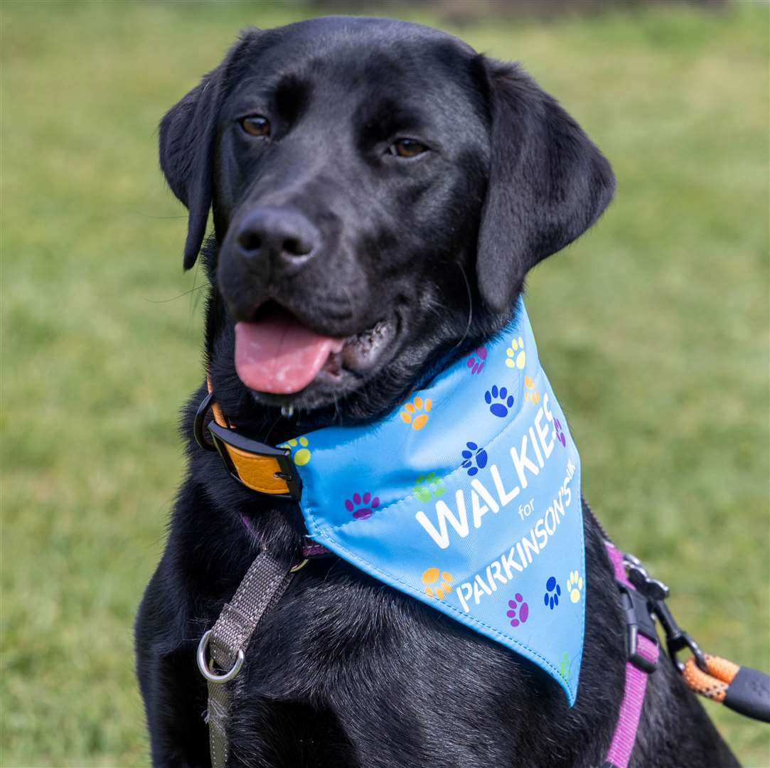 Parkinson charity walk at Victoria Park