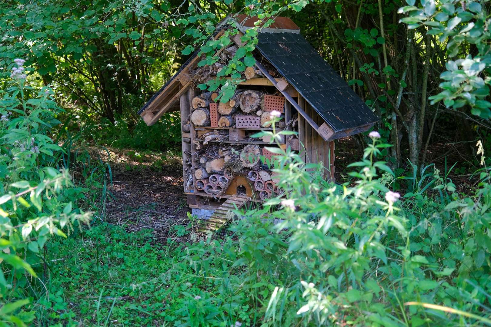 The bug hotel on Marsh Common