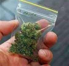 Cannabis