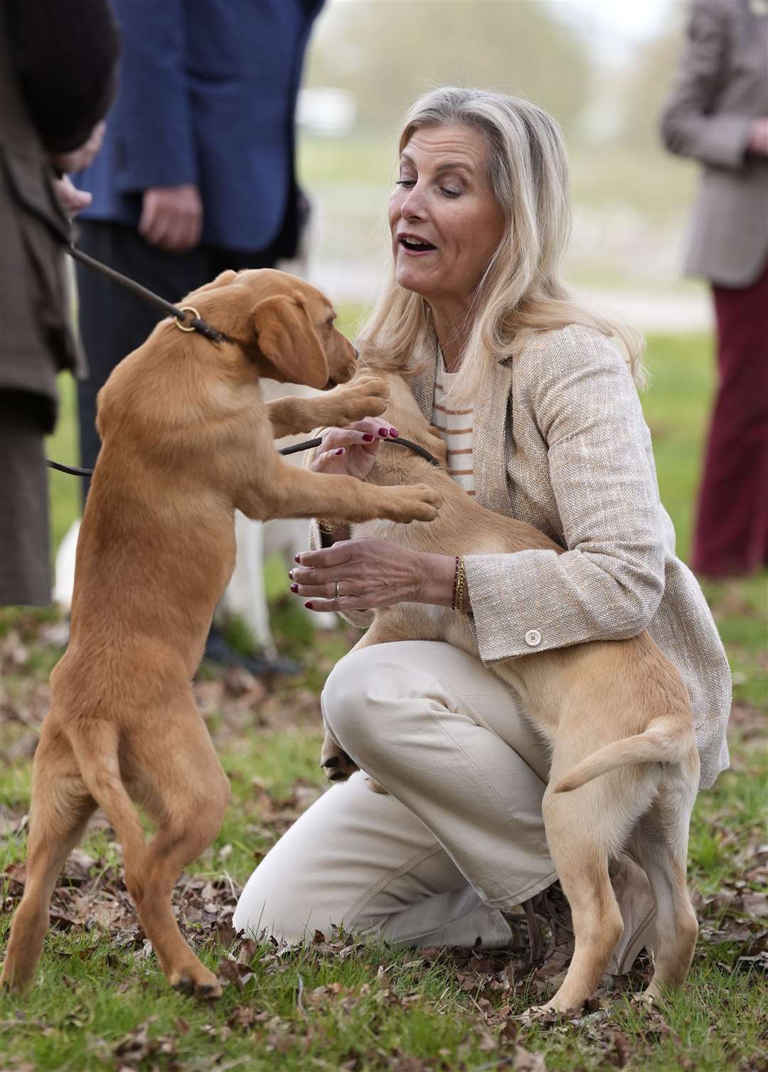 The Duchess of Edinburgh meets 12-week-old yellow labrador puppies Axel (left) and Gino at Windsor Great Park (Andrew Matthews/PA Wire)