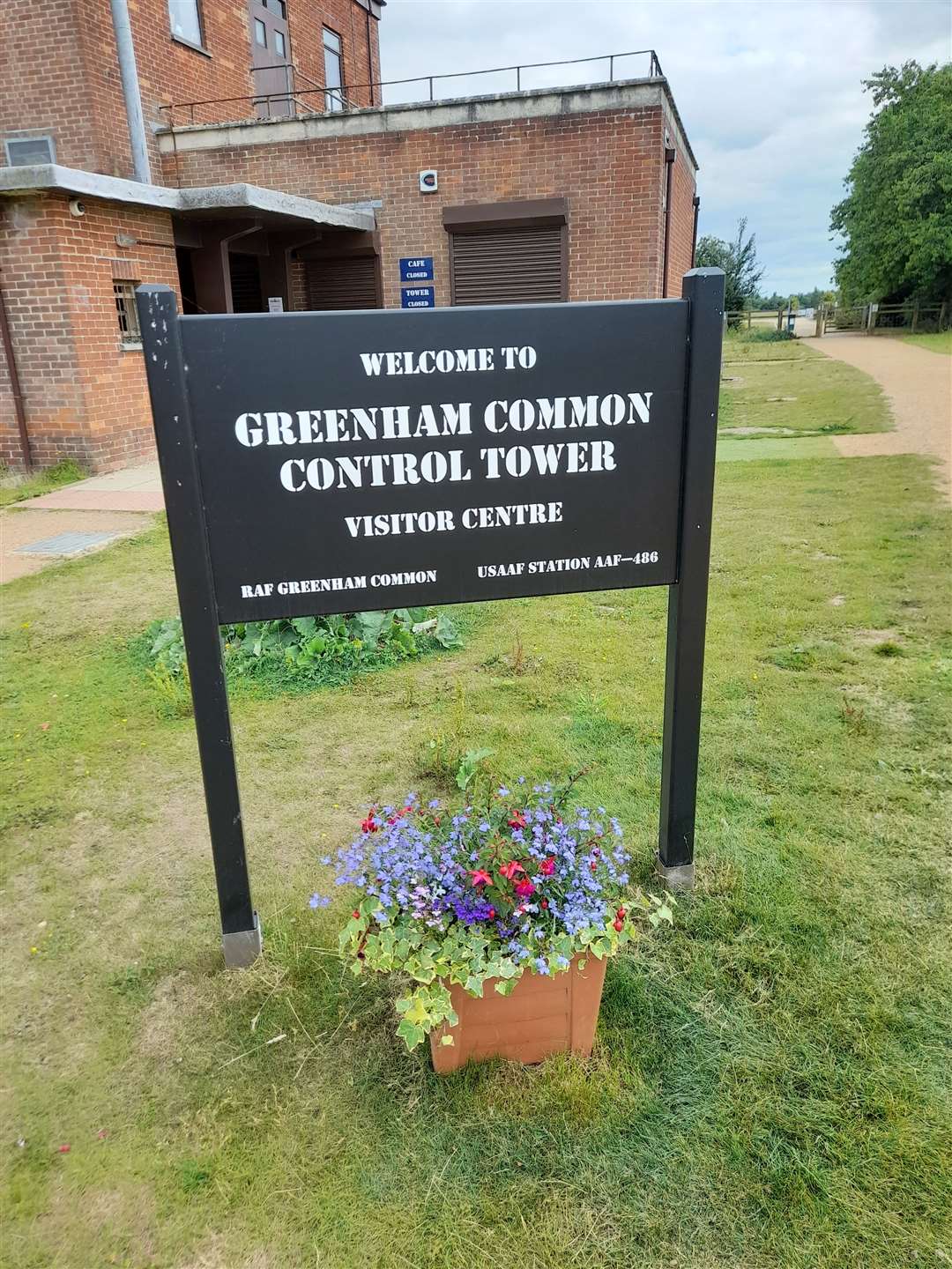 The Sycamore Gap sapling will be planted at Greenham Common