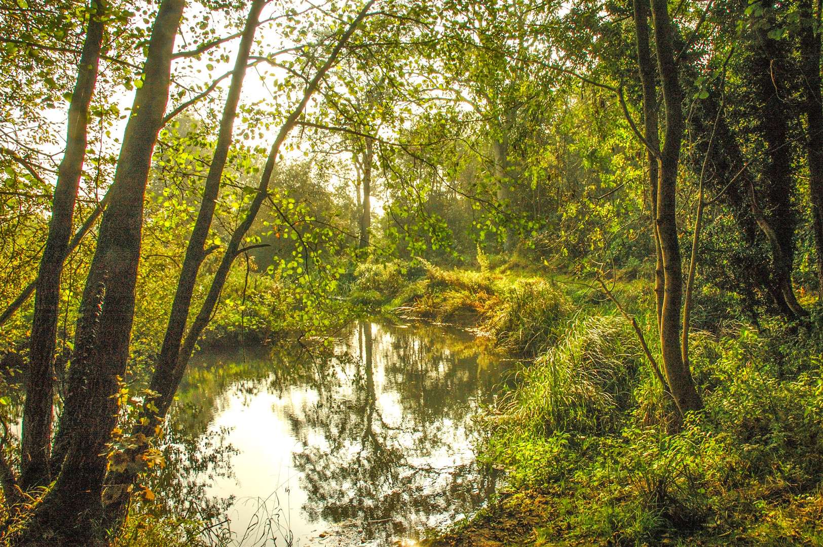 Moor Copse in 2005, credit: Jim Asher (56850252)