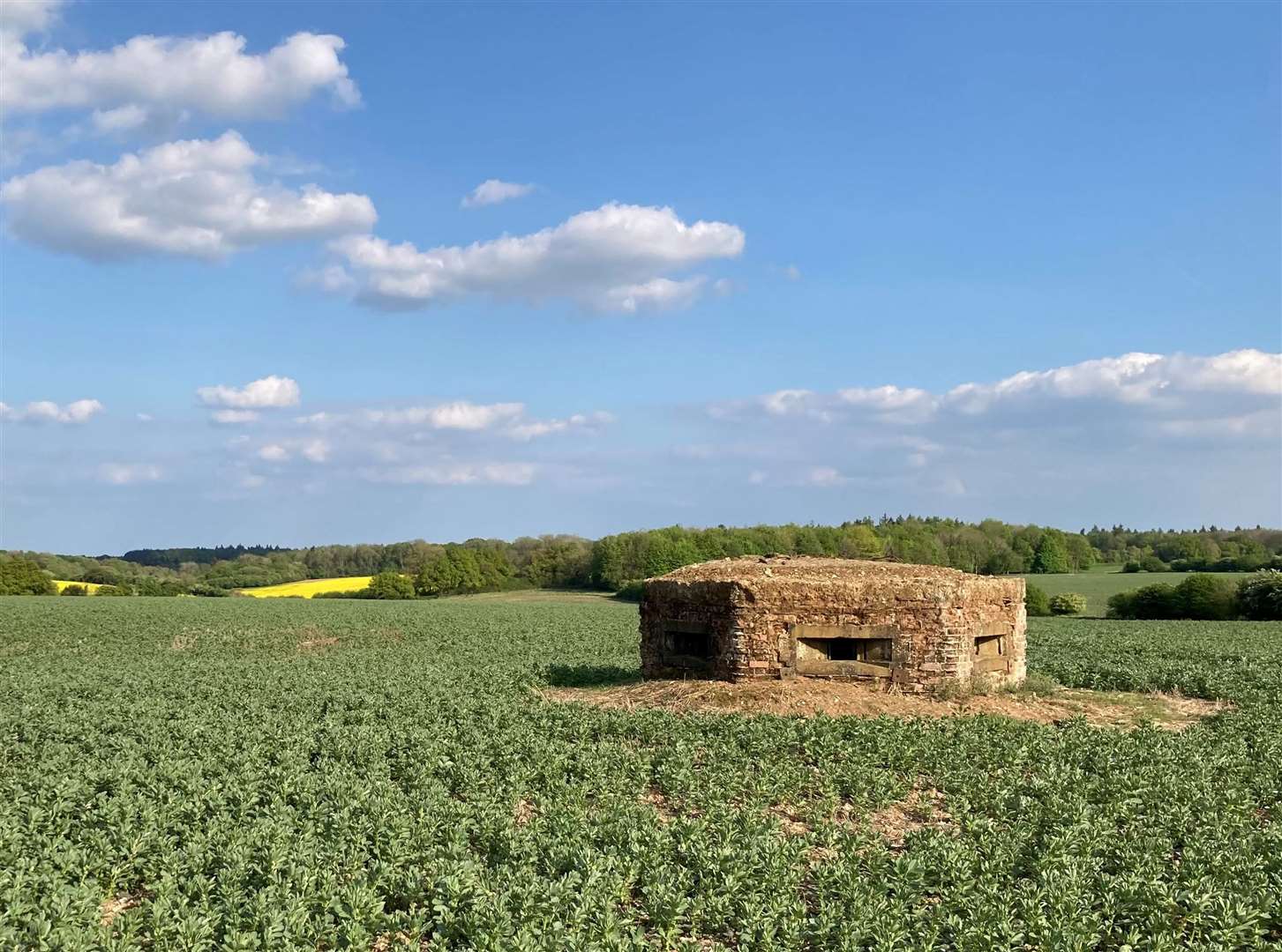 A hexagonal pillbox dug into the chalky landscape of the West Berkshire downs near Hampstead Norreys