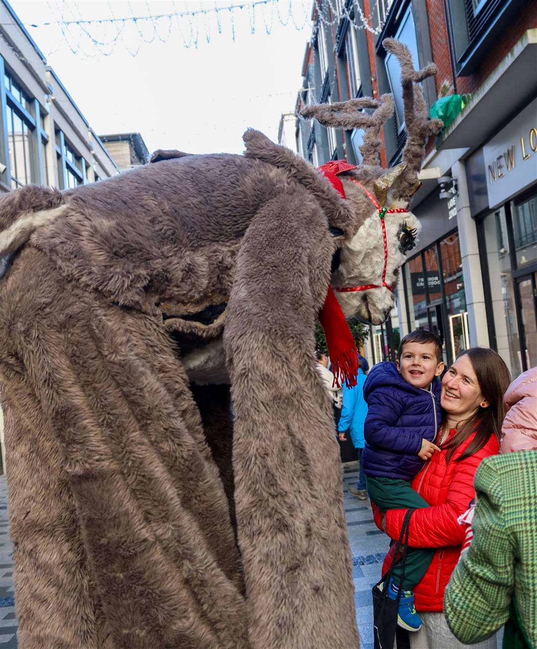 Lorriane Deer