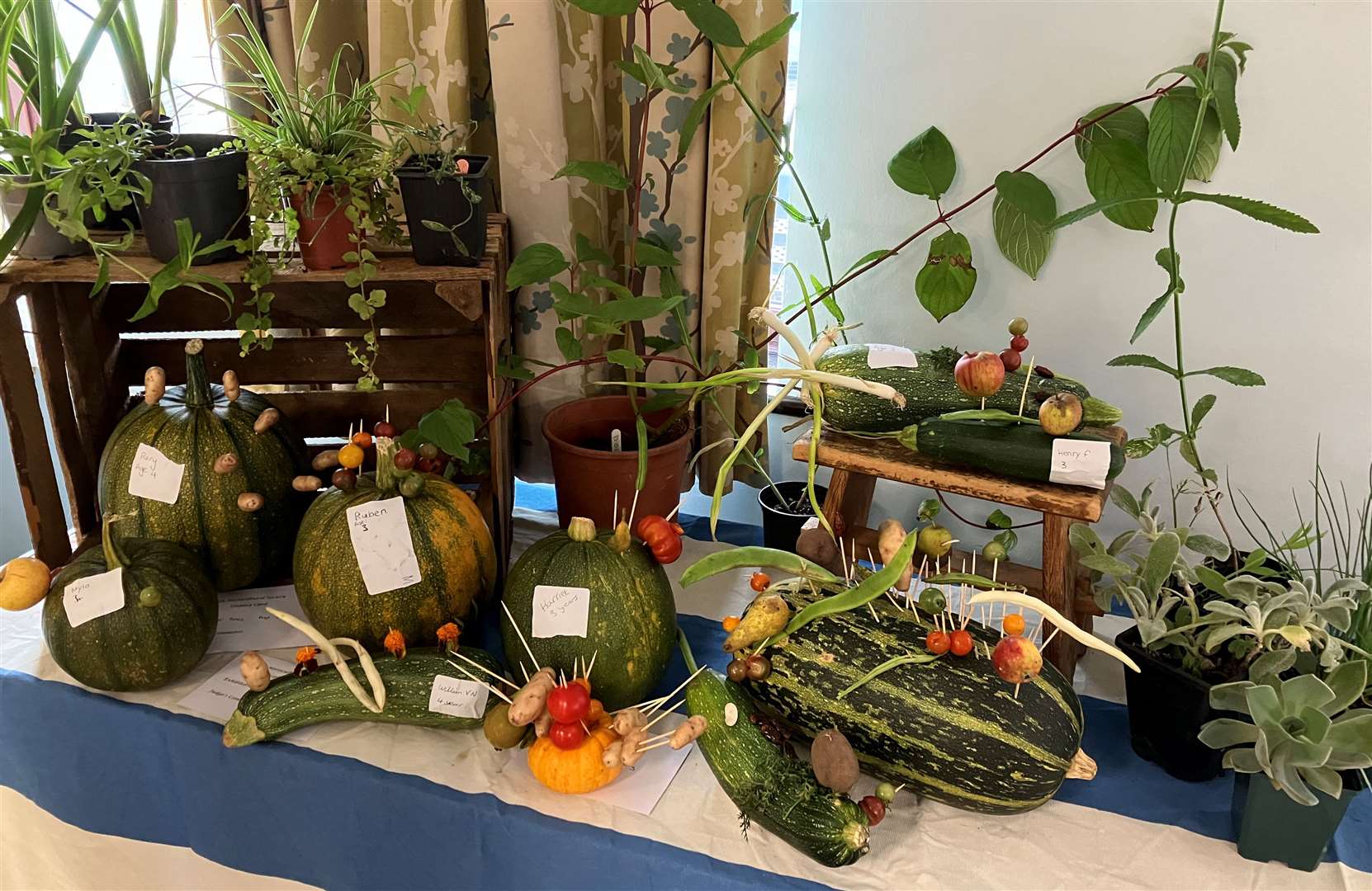 The vegetables on show, picture: Cold Ash Gardening Club