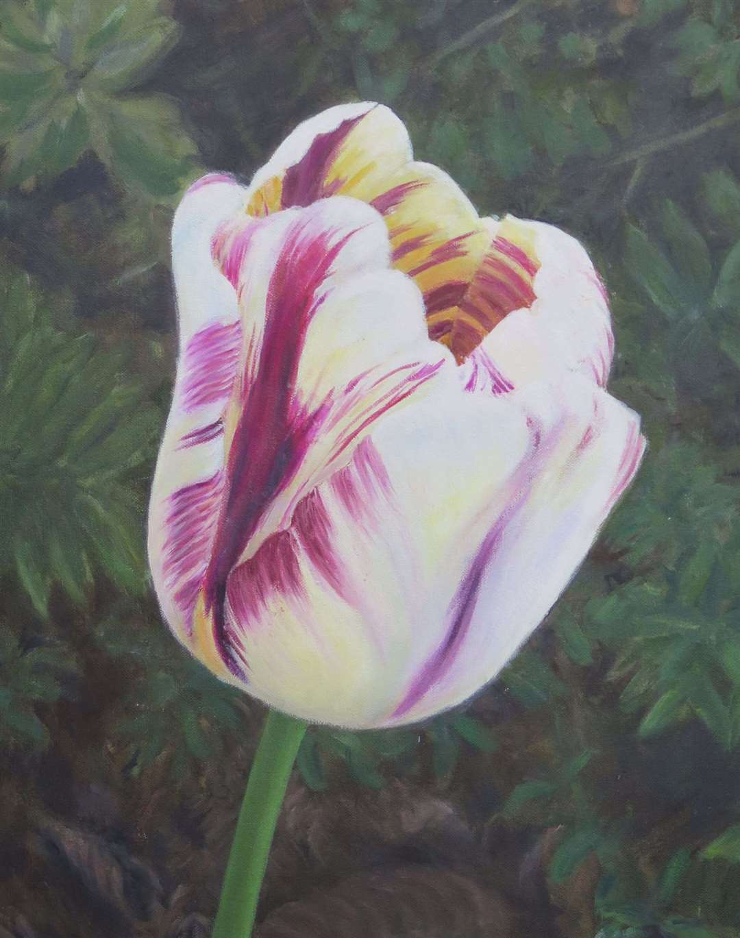 Tulip, Anne Reavill
