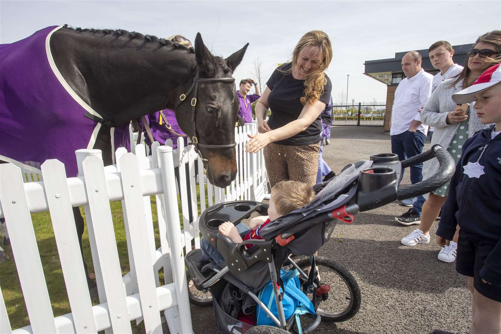 Getting to grips with a racehorse