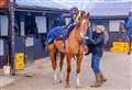 Snowden excited for National Racehorse Week to begin