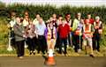 Trial campaign launched aimed at protecting roadside verges