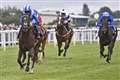 18 go forward for intriguing Dubai Duty Free Mill Reef Stakes at Newbury on Saturday 