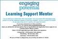 Learning Support Mentor Required
