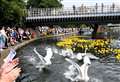 Newbury Duck Race was plain sailing