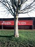 Fears subside over Racecourse memorial tree