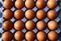 Supermarkets begin egg rationing 