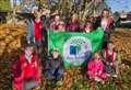 Parsons Down Partnership of Schools to apply for eco accreditation