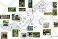 Children’s woodland adventure playground and café plans approved