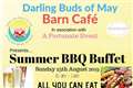Summer BBQ Buffet