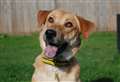 Beautiful Raya has a lot of love to give
