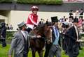 Archie Watson celebrates Royal Ascot winner