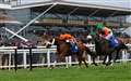 Peslier claims four victories at the Dubai International Arabian Raceday