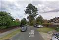 Council defends tree blamed for 'infringing human rights'