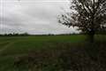 Tull Way estate appeal  victory for campaigners
