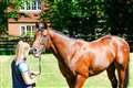 Stable Talk: Sylvester Kirk says Jockey Club has transformed Lambourn