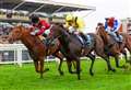Action on and off the track, as Newbury’s Flat season concludes
