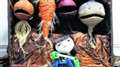 Half-term adventure