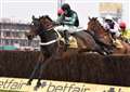 Hennessy winner returns to boost Gold Cup hopes