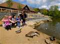 South's children top National Trust's survey of Britons concerned about decline in wildlife