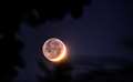  Venus and crescent Moon close together and Earthshine