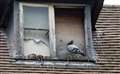 Drive to cut down on Thatcham's pigeon problem