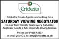 Saturday Viewing Person