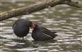 Thatcham Nature Discovery Centre