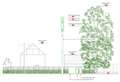 Plans for 15-metre tall 5G mast to be installed in village have been withdrawn
