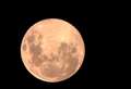Full Pink Super Moon