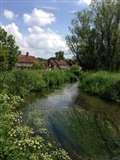 Beautiful West Berkshire scenes captured in My Newbury 