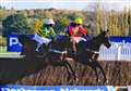 Champ wins on debut for Seven Barrows
