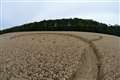Crop circles: call 999, say police