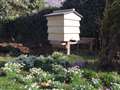 Brightwalton beekeeper and environmentalist Keith Richards says honeybees on the increase