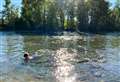 9 things you should know before taking a dip in the heatwave 