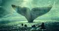 Real tale behind Moby Dick