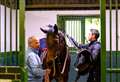 Cox duo out of Commonwealth Cup at Royal Ascot after going change