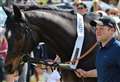 Lambourn open day a galloping success