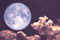 March Full Super Worm Moon will peak this weekend - here's how to see it