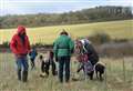 Village environmental group plants more than 500 trees for the future